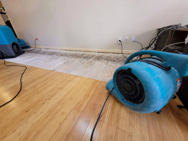 Reliable Basement Flood Cleanup contractor in Dickson, OK by Hirex Water Damage