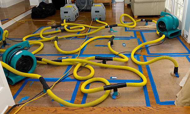 Professional Basement Flood Cleanup technician working in Dickson, OK